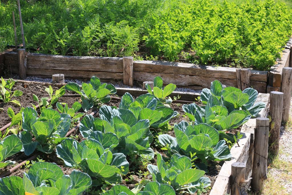Borgo Di Carpiano Ξενοδοχείο Mengara Εξωτερικό φωτογραφία